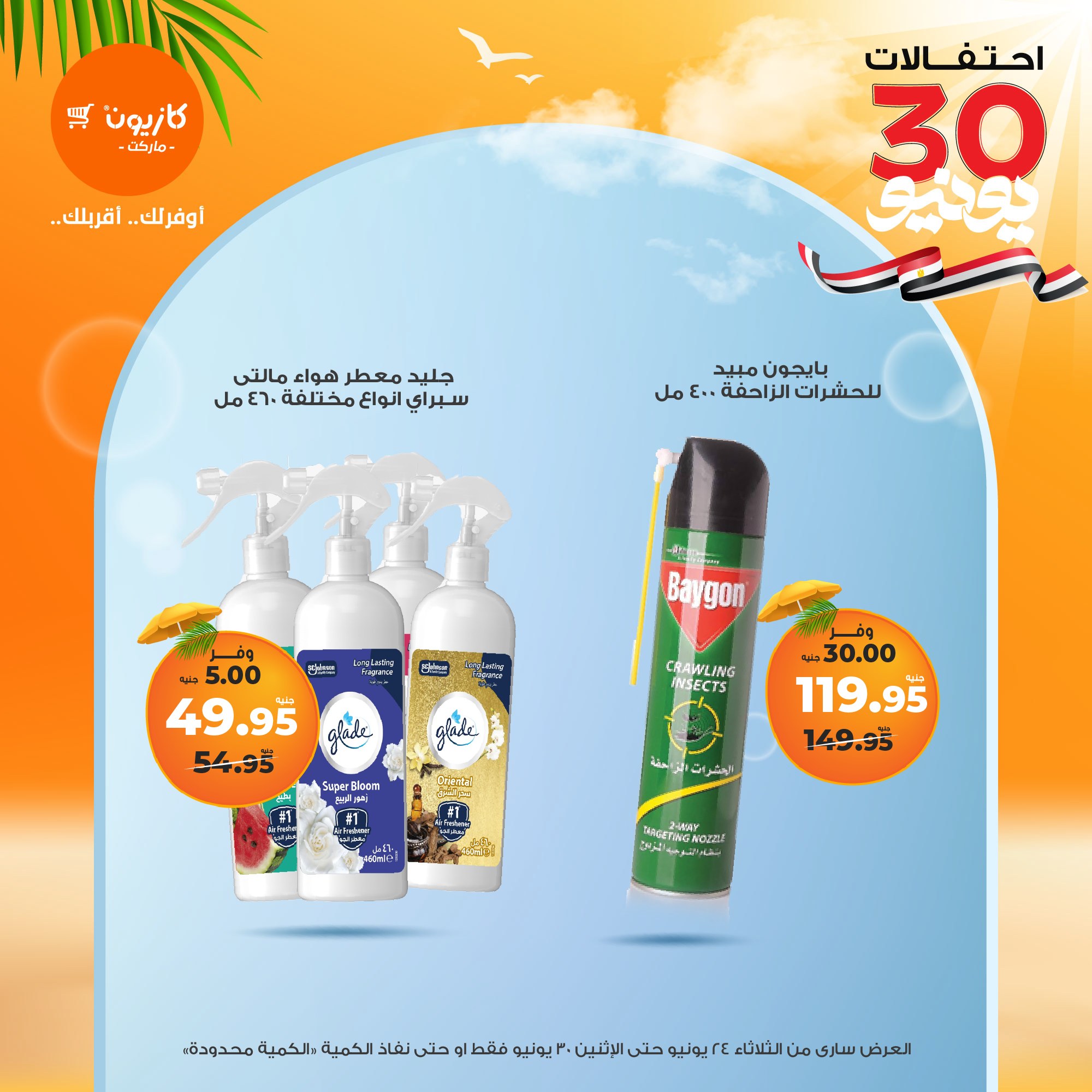 kazyon offers from 23jun to 2jun 2025 عروض كازيون من 23 يونيو حتى 2 يونيو 2025 صفحة رقم 49
